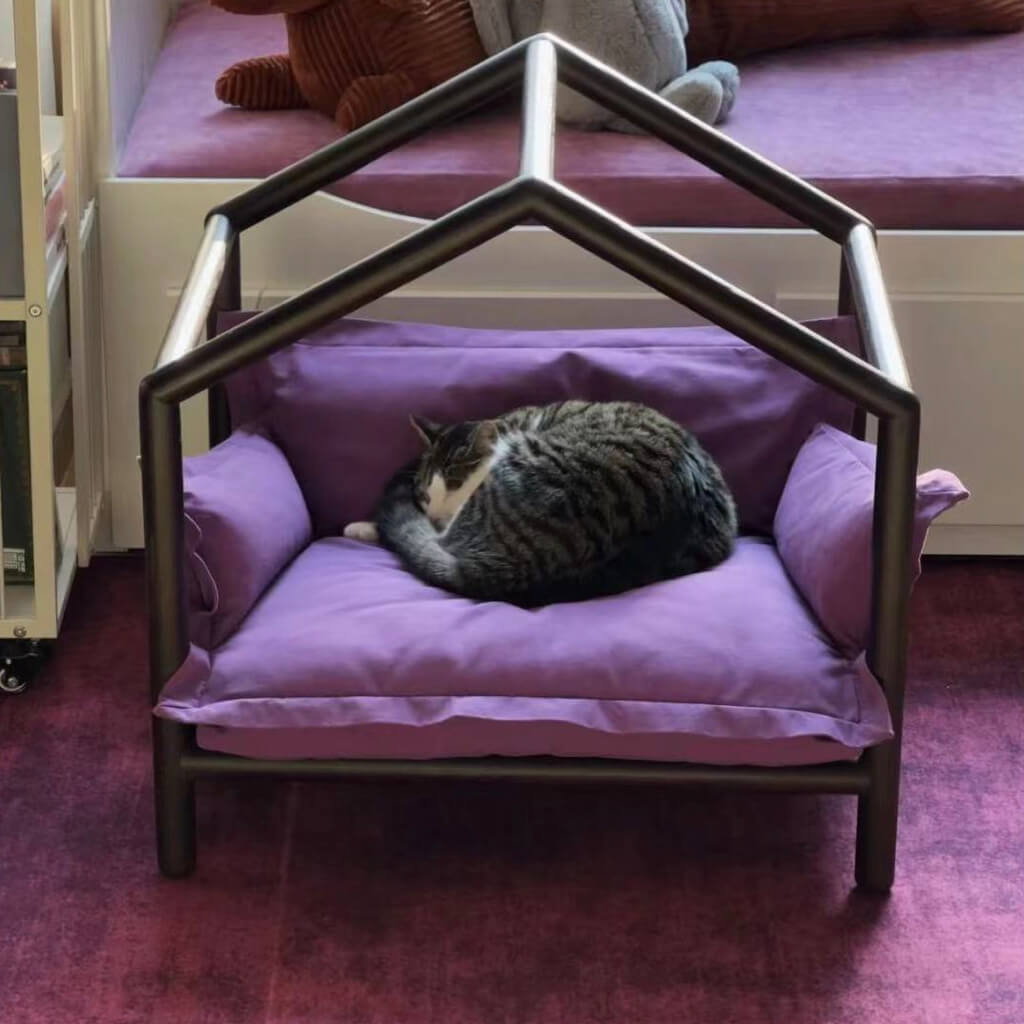 Cat curled up on Cozy Pet Sofa Bed - Lavender Syrup in modern room