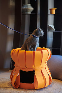 Cat Fortress Traveller Den Cave Volcano Orange by Purrre