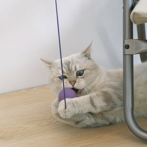 Interactive Ping Pong Cat Toy