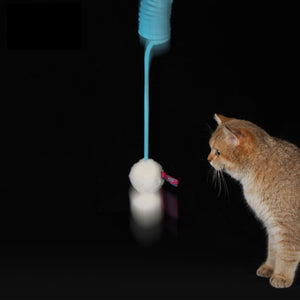 Cat intensely watching a blue cat spring toy with a fluffy ball, perfect for interactive play sessions.