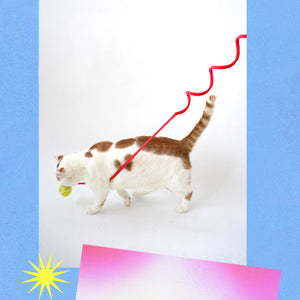 Interactive tennis racket toy with a plush ball and flexible spring. Ideal for cats who enjoy batting and pouncing on moving toys.