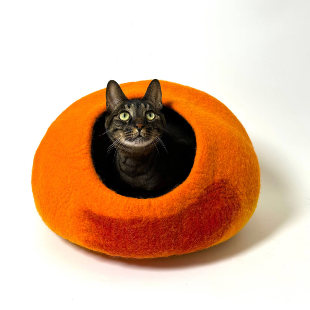 abby cat sitting inside a Cozy Felt Cat Cave in gradient sunset orange and red hues. Handmade wool felt cat bed for stylish home decor and feline comfort.