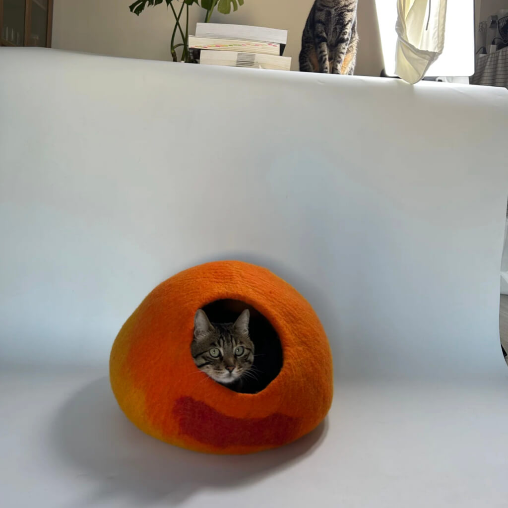 Cozy Felt Cat Cave with a tabby cat resting inside, surrounded by a photo studio backdrop. Handmade wool felt cat bed in orange and red gradient shades.