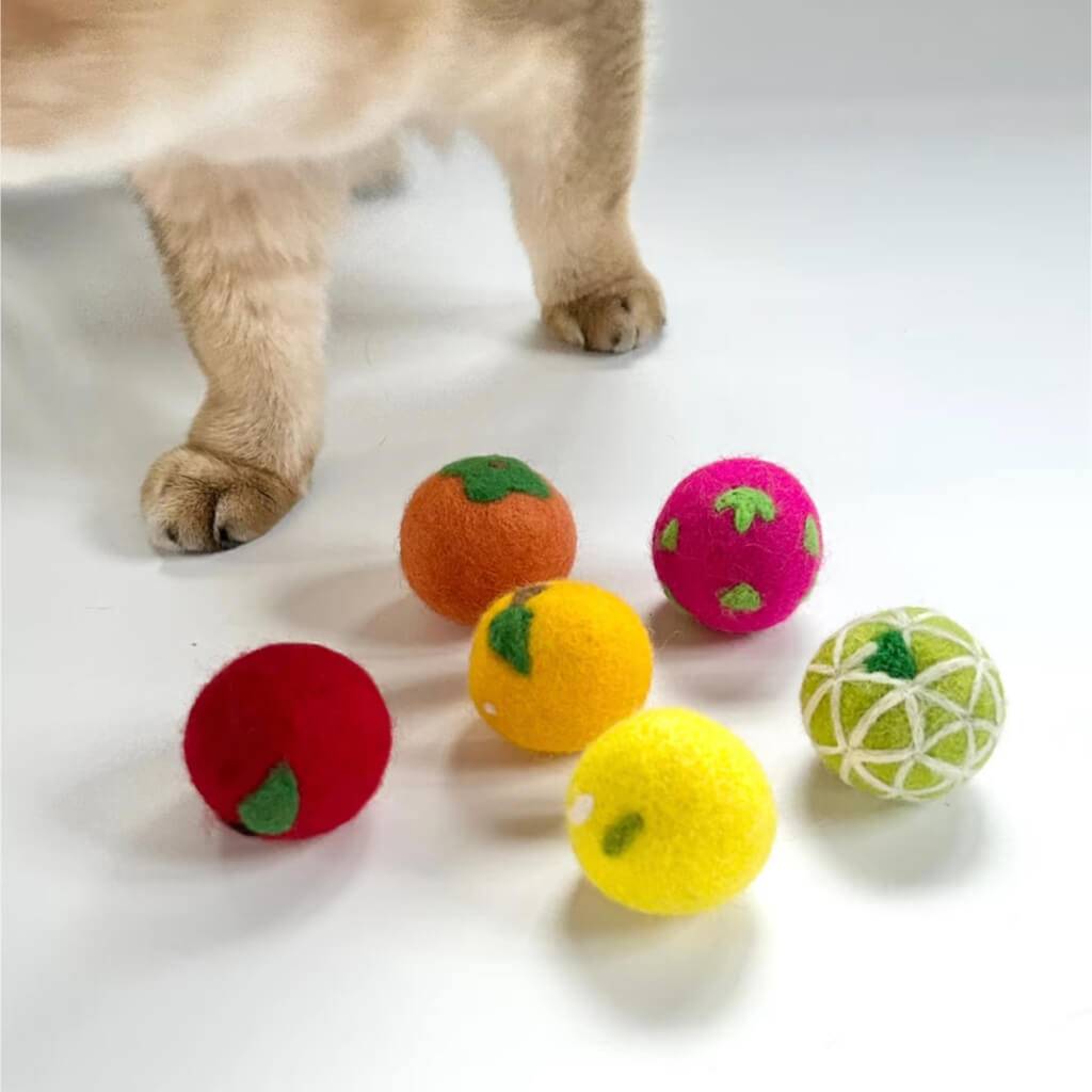 Beige cat inspecting six wool felt fruit balls, including strawberry, orange, and apple designs. Perfect self-entertaining toys for quiet indoor cat play.