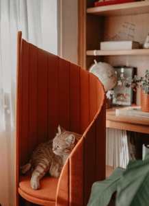 A ginger cat lounges on the Time Travel Tower Cat Tree in a warm red fabric finish, blending seamlessly into a cozy, modern home interior. This designer cat tower features a high-back curved enclosure for privacy and comfort, offering a secure and stylish space for cats to relax. Crafted with a plush cushioned seat, it provides the perfect elevated perch for feline lounging. The sleek, minimalist design makes it a luxury cat furniture piece that complements contemporary decor.