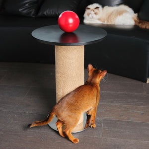 Mid-Century Modern Cat Scratching Post and Side Table with sisal-wrapped base in a Scandinavian-inspired interior.