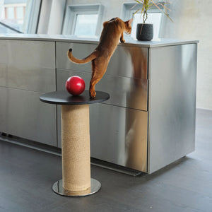 Cat exploring the Mid-Century Modern Cat Scratching Post and Side Table with mirrored stainless steel base.