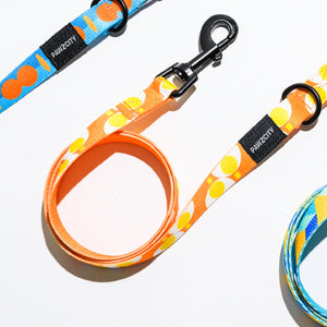 Close-up of the pet leash with colorful patterns.