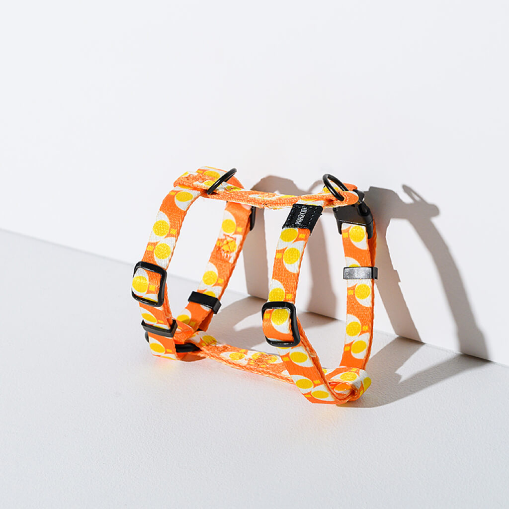 Stylish orange with egg pattern pet harness with adjustable straps.