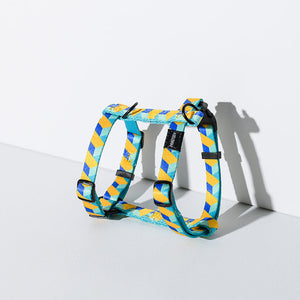 Blue and yellow patterned pet harness.