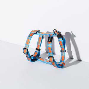 Blue and orange patterned pet harness with secure buckle.