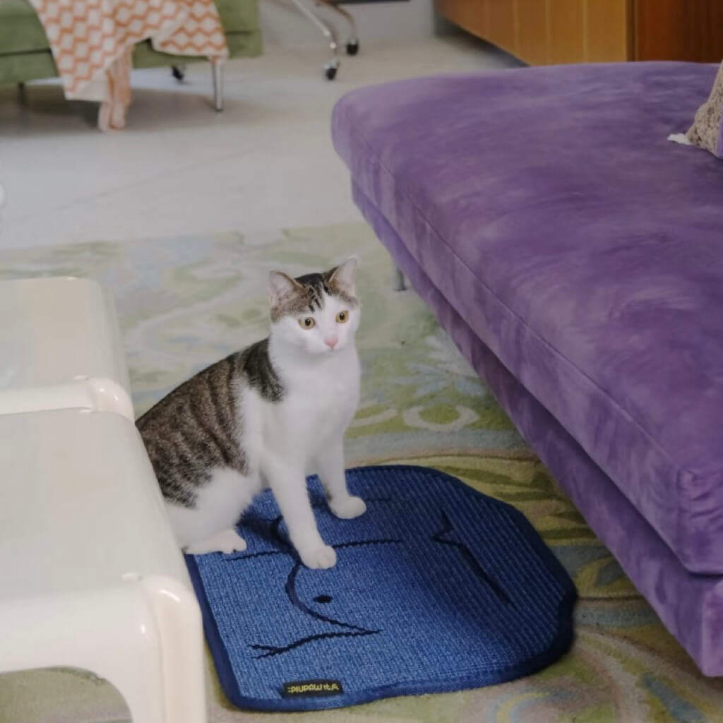 Cat standing on a sisal scratching mat with artistic man chest embroidery design in a cozy living room.