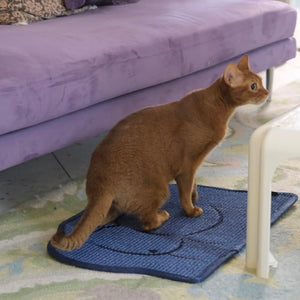 Brown cat standing on a sisal scratching mat with playful man chest embroidery design.