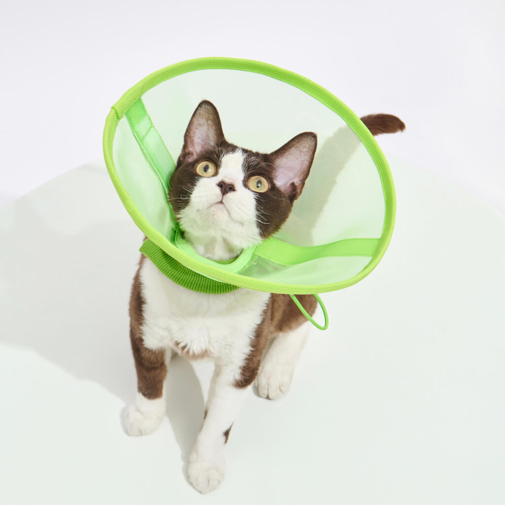 Reversible and Breathable Mesh Pet Recovery Collar | Elizabeth Cone - Neo Green