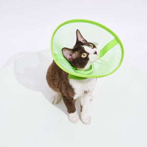 Reversible and Breathable Mesh Pet Recovery Collar | Elizabeth Cone - Neo Green