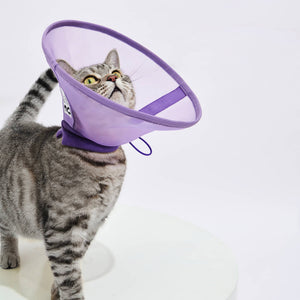 Cat wearing a Reversible & Breathable Mesh Pet Recovery Collar in Purple for comfort and protection.