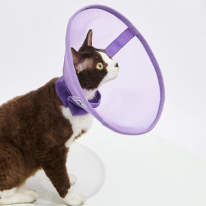 Side view of a cat wearing the Purple Reversible Mesh Pet Recovery Collar, showing its breathable design.