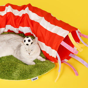 White cat resting comfortably with a plush football on its head, next to the ZEZE Football Field Cat Tunnel Toy.