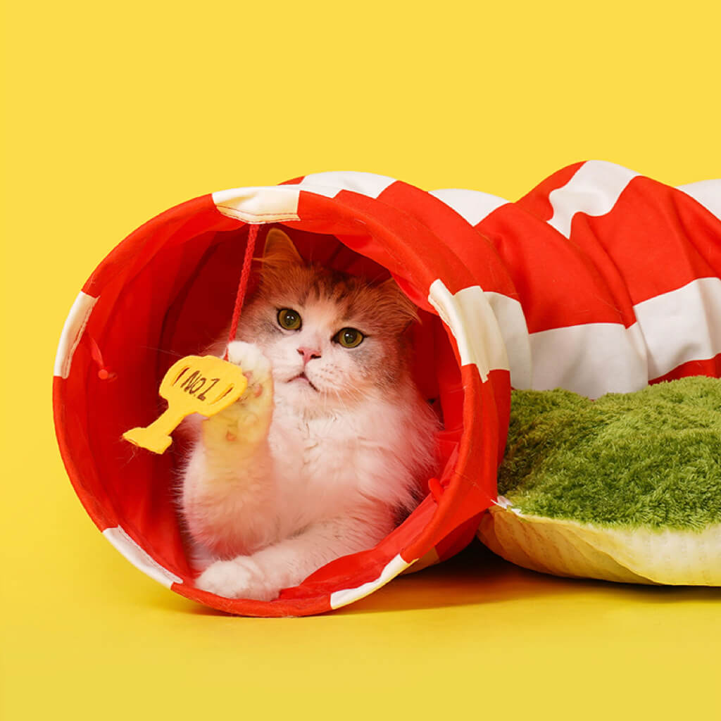 A cat lying inside the tunnel, playing with the attached plush No.1 trophy toy.