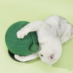 Grey cat scratching the top of the Green Cactus Ball Sisal Cat Scratcher.