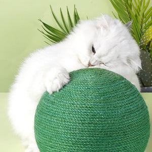 White cat nuzzling against the Green Cactus Ball Sisal Cat Scratcher.