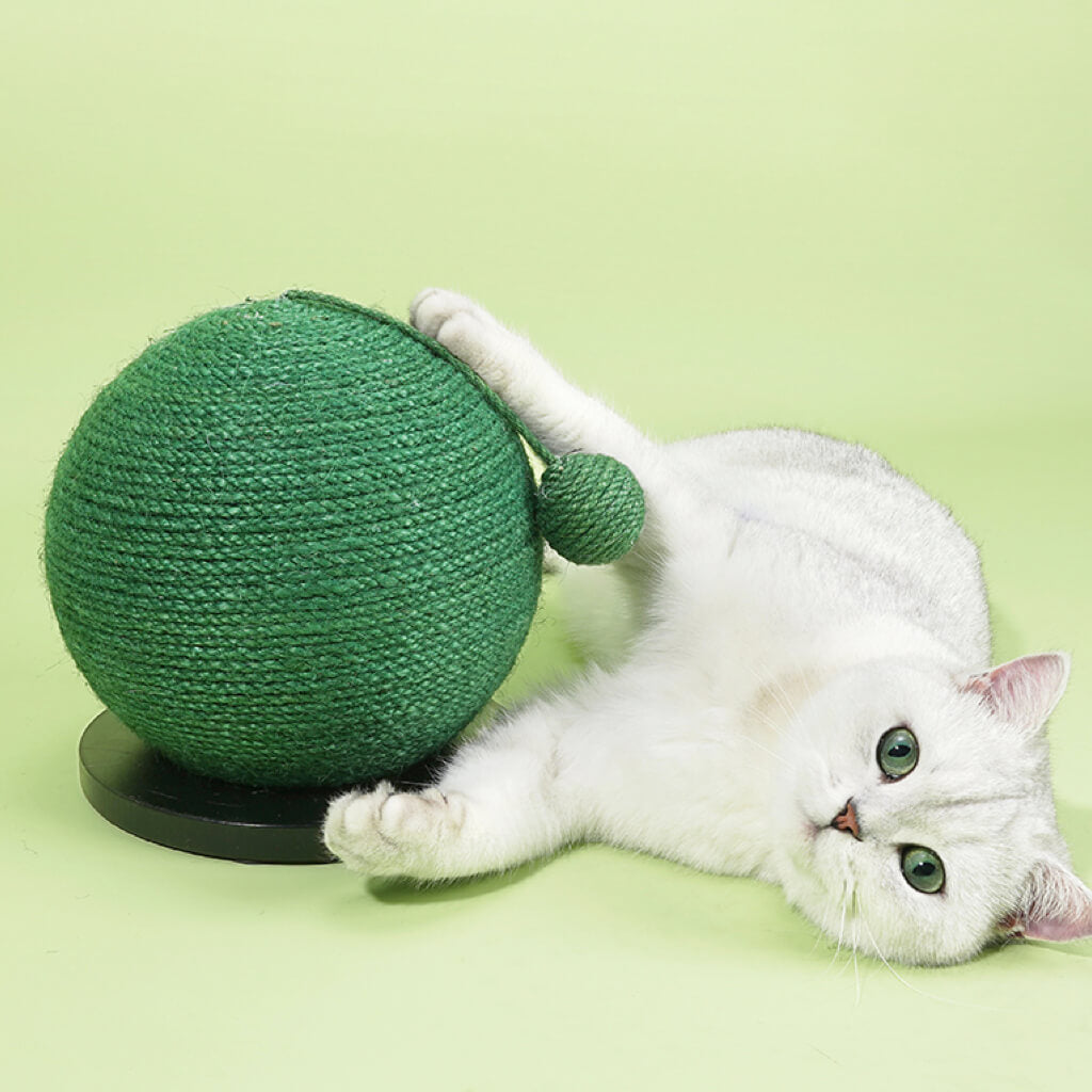 White cat standing on top of the Green Cactus Ball Sisal Cat Scratcher with a cactus plant prop.