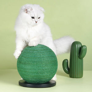 Cat lying beside the Green Cactus Ball Sisal Cat Scratcher, reaching out to play.