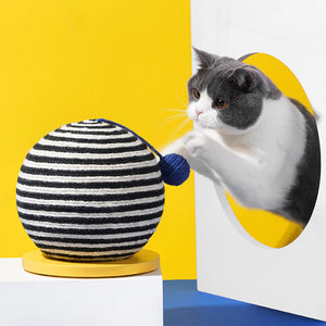 A grey and white cat playing with the Zeze Memphis Striped Sisal Cat Scratch Ball's blue teaser, showing its engaging design.