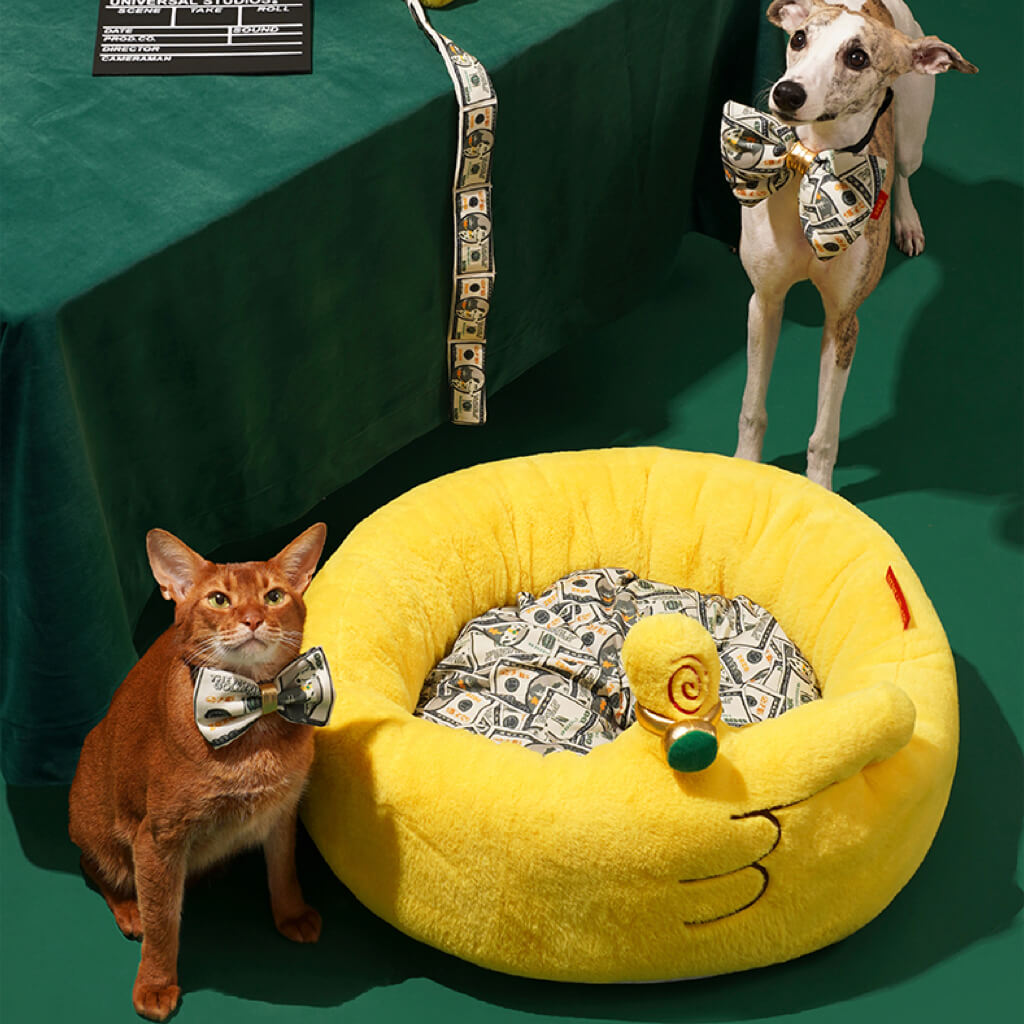 Two pets enjoying the luxurious ZEZE Meowney Plush Pet Bed, decorated with a unique hand shape and dollar print.