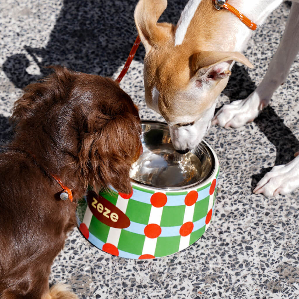 Retro Chrome Pet Bowl – Stylish Elevated Stainless Steel bowl with Non-Slip Base