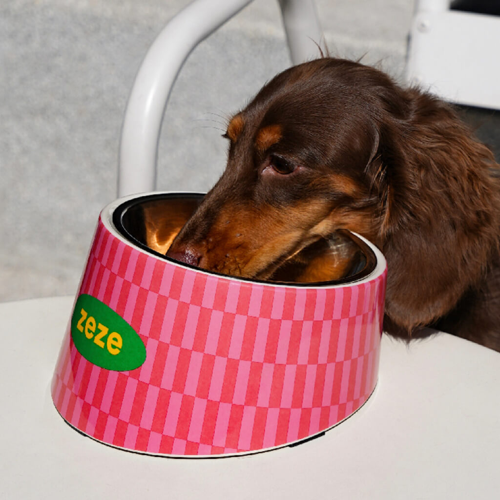 Retro Chrome Pet Bowl – Stylish Elevated Stainless Steel bowl with Non-Slip Base