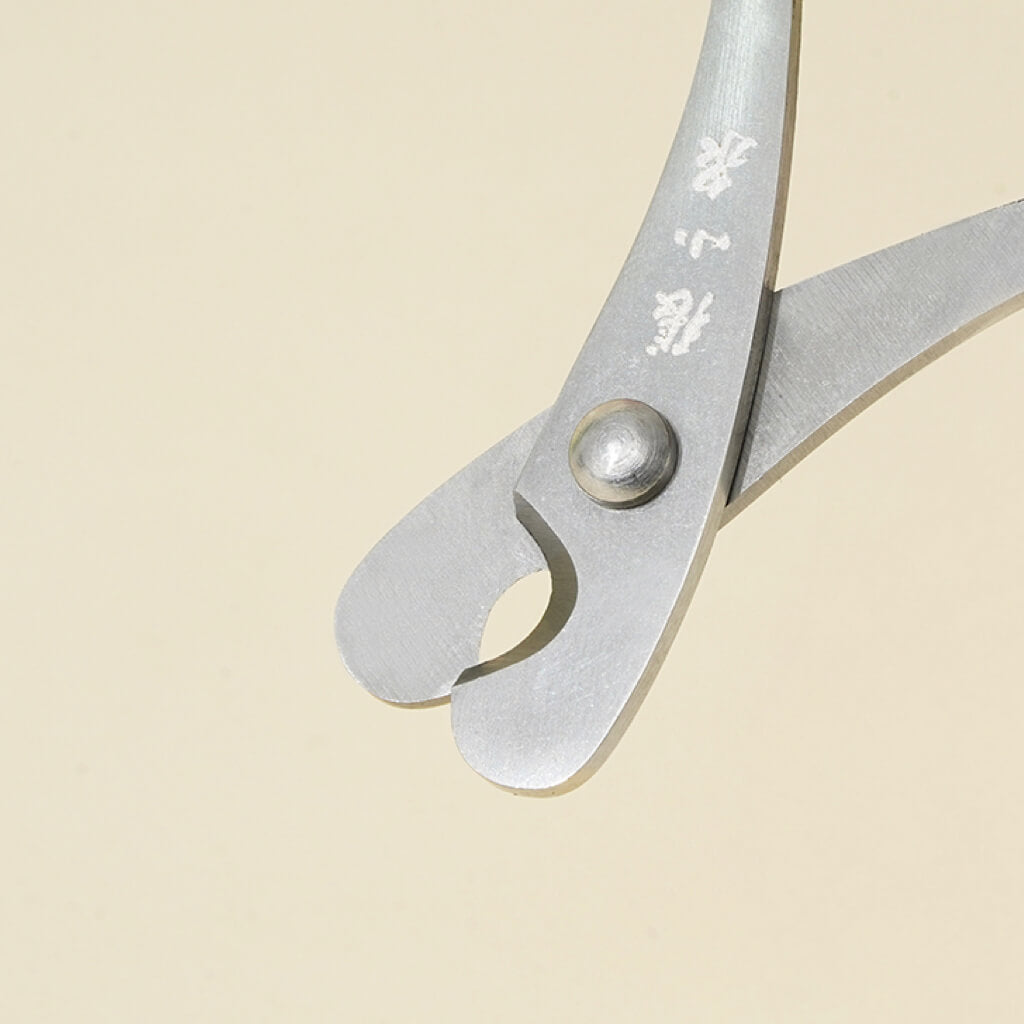 Close-up of the stainless steel blades of ZEZE Tulip-Shaped Pet Nail Clipper, crafted for durability and with good quality.