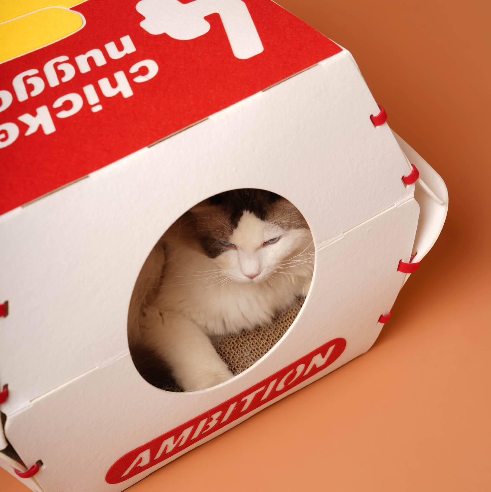 Cat comfortably nestled inside the Nugget Box Cat Hideaway, peeking out of the circular entrance.