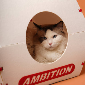 Close-up of the cat relaxing inside the circular window of the Nugget Box Cat Hideaway, featuring the word 'Ambition' printed on the front.