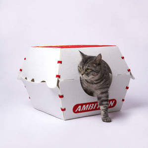 Gray tabby cat peeking out of the Nugget Box Cat Hideaway's circular window on a clean white background.