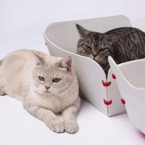 Two cats relaxing side by side, one lying inside the disassembled Nugget Box Cat Hideaway base.