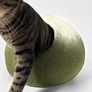 cat exiting the matcha green felt cat cave with a white gradient, highlighting the wide entrance.