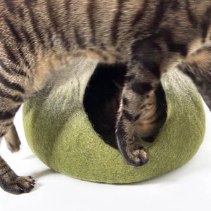 cat walking by the matcha green felt cat cave, showcasing the stylish and modern design.