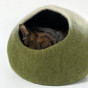 at hidden inside a matcha green felt cat cave, showing the cozy and secure design.