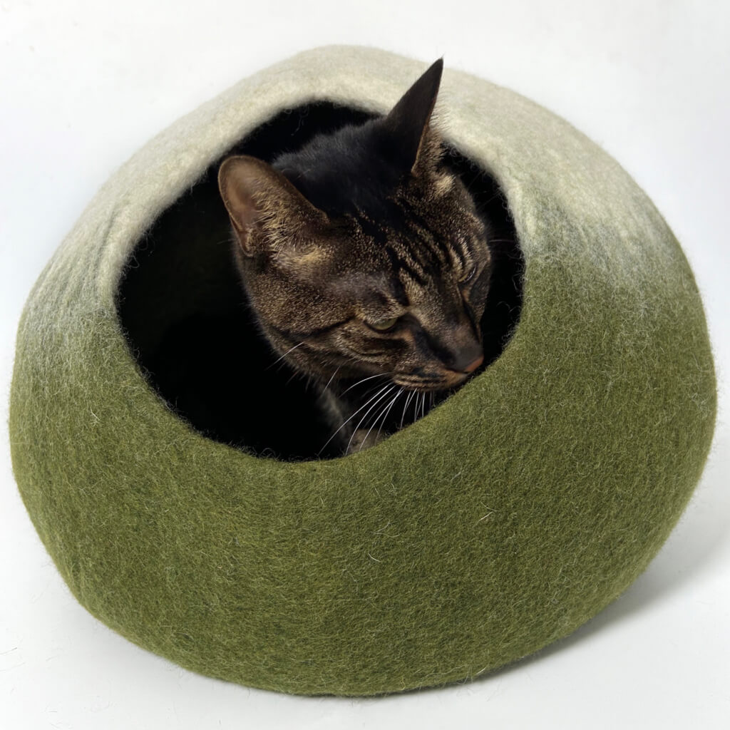 at resting inside a matcha green felt cat cave, peeking out comfortably.