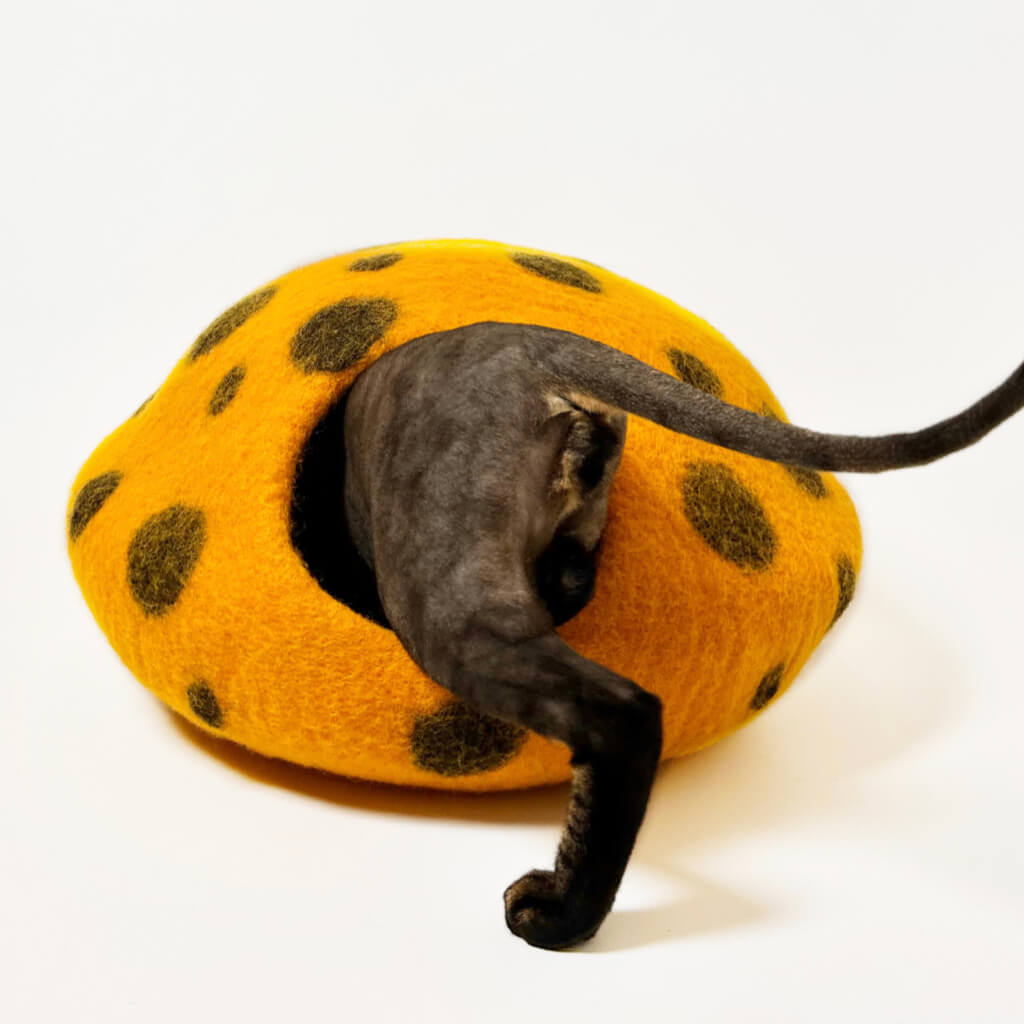 Cat entering the cozy orange pumpkin felt cat cave with black spots, offering a playful and secure hideaway.