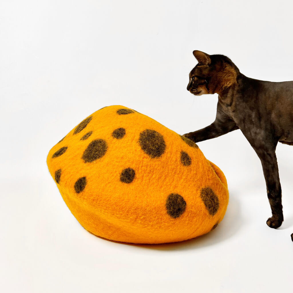 Curious tabby cat approaching the orange pumpkin felt cat cave with black spots, showcasing the unique design.