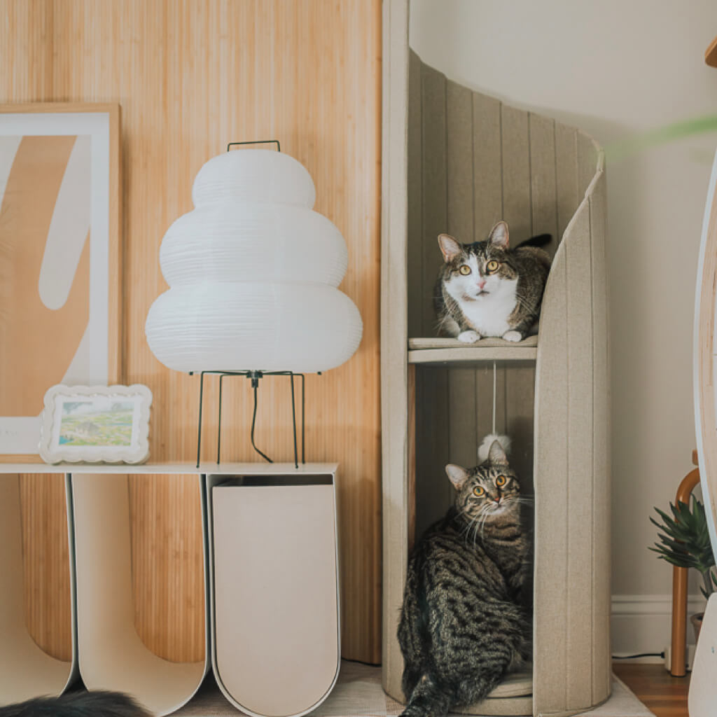 Two tabby cats lounging in the beige Time Travel Cat Tower next to a modern white lamp and minimalist decor, showcasing a cozy corner for cats.