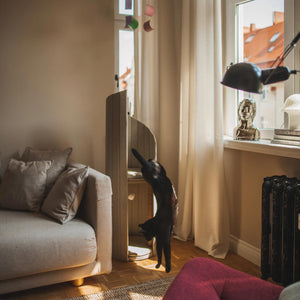 Black cat playfully stretching towards the top platform of the beige Time Travel Cat Tower, positioned next to a bright window in a modern living room.