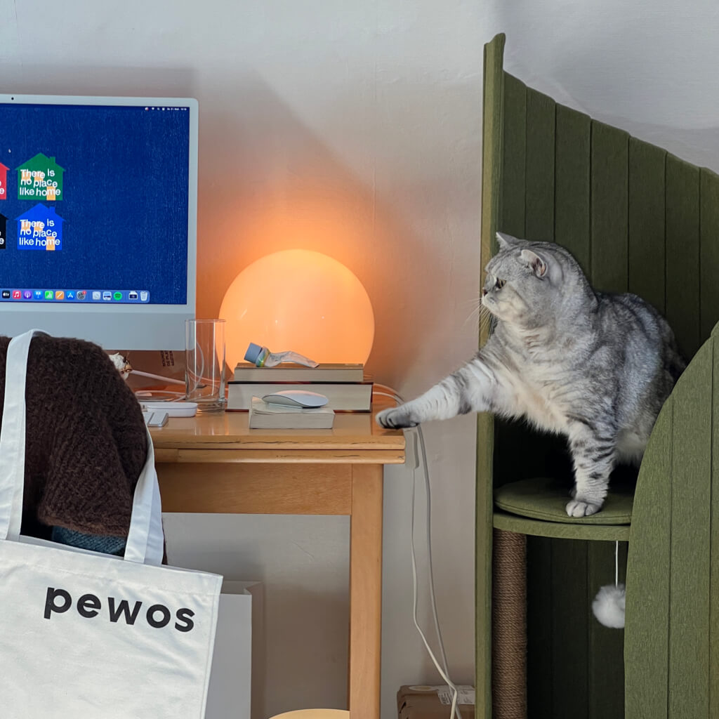 Elegant room setup with Pine Green Time Travel Cat Tower, wooden desk, computer, and cozy lighting, showcasing a minimalistic and stylish home office environment.