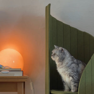 Grey tabby cat sitting on the Pine Green Time Travel Cat Tower next to a wooden desk with a computer and ambient lighting, featuring a modern home office setup.