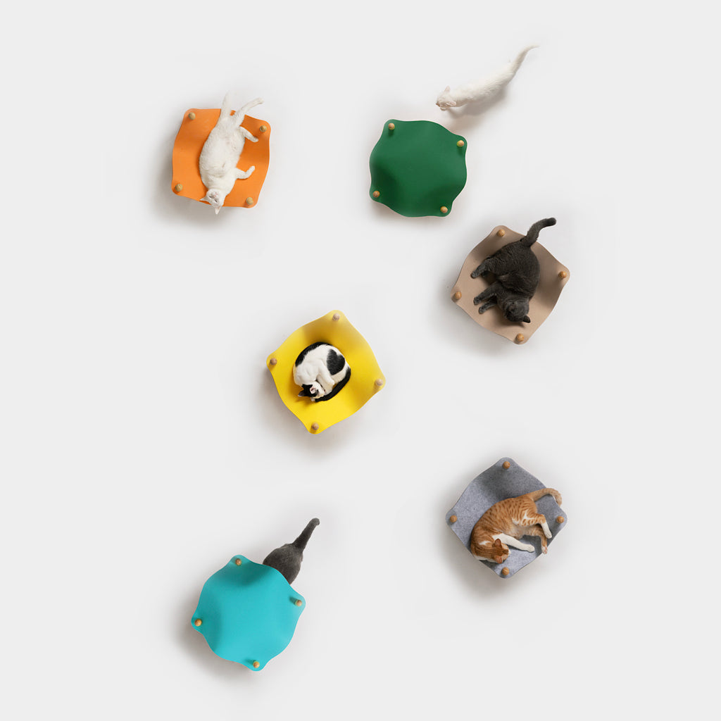 Overhead view of colorful felt cat beds with chrome accents in various shapes, featuring multiple cats lounging on yellow, green, orange, blue, and neutral-toned beds.