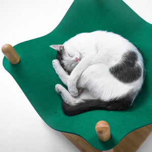 cat curled up on a green felt replacement for the Smelling Felt Cat Bed