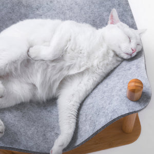 cat peacefully sleeping on a gray felt replacement for the Smelling Felt Cat Bed.