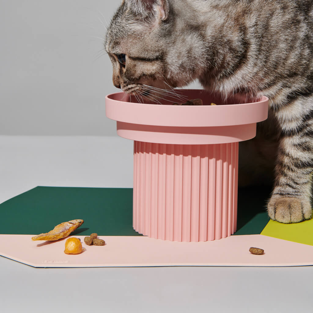 Cat enjoying food from a bowl on the Chroma Party Pet Dining Mat - #Power Green.